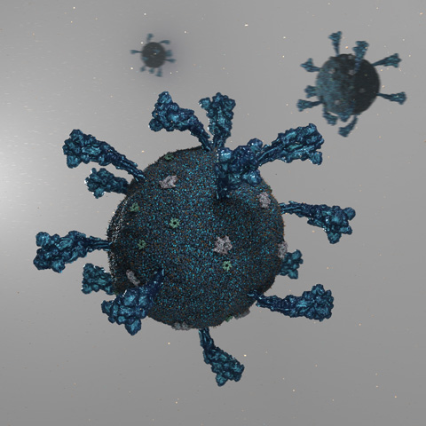 The image depicts the Omicron variant of Sars-CoV-2 in dark blue.