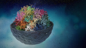 3D images: nucleus with DNA