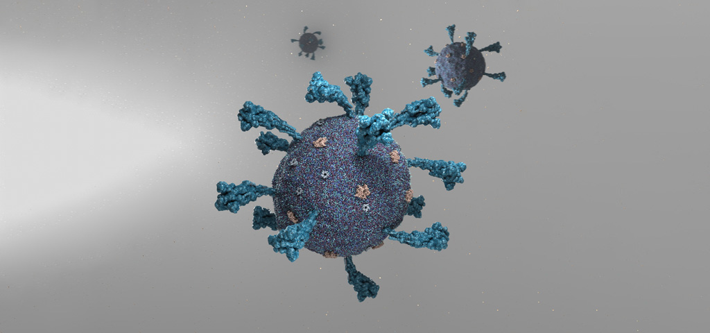 3D visualization of a virus by biolution