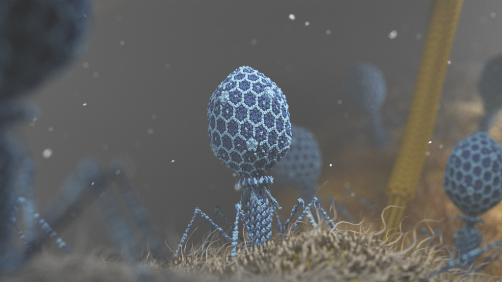 3D visualization of a T4 Phage