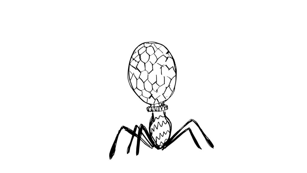 hand drawn sketch of a Phage, pre 3D visualization