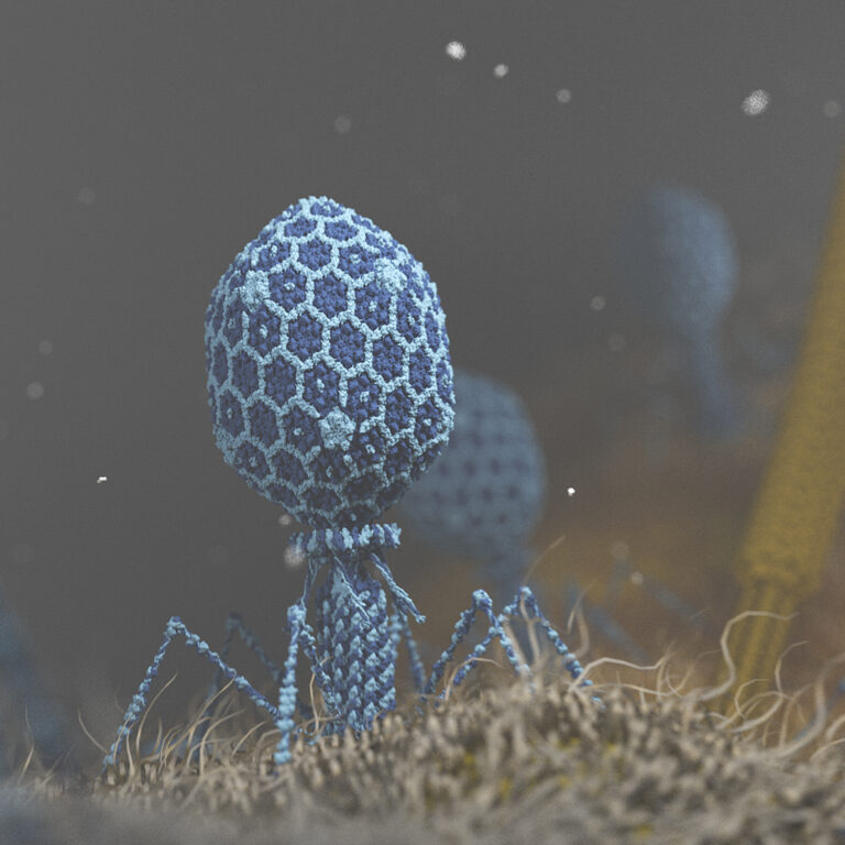 About biolution: image showing a T4 phage on a bacteria