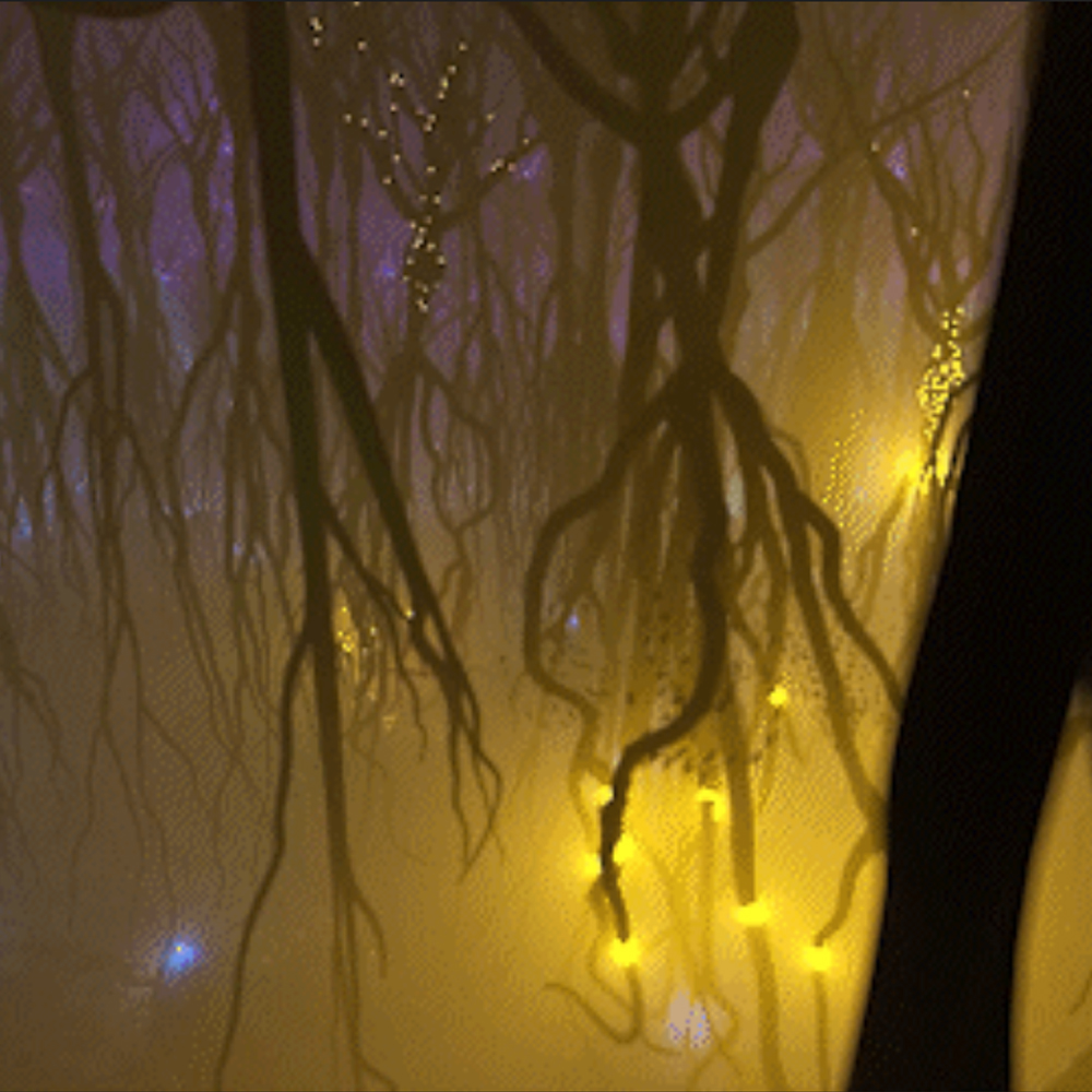 About biolution: image showing neural circuits in the brain