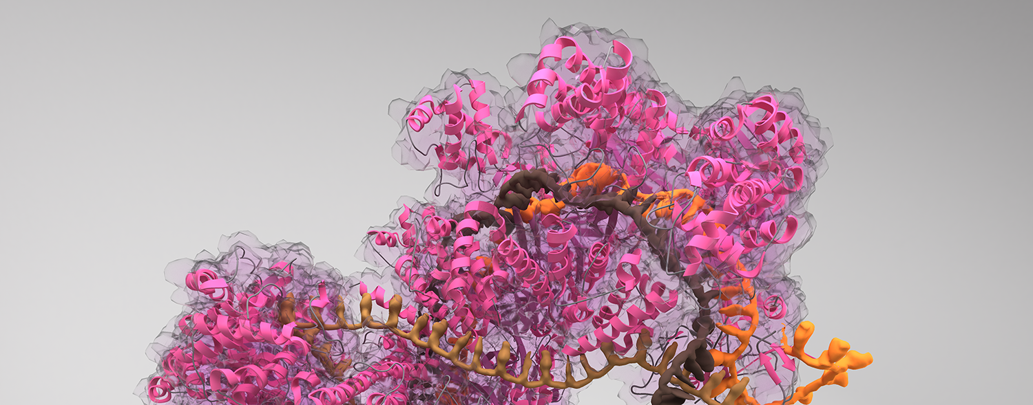 The image depicts the CRISPR/Cas system.
